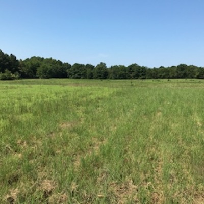 Tillable Acres