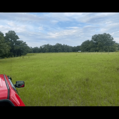 Open grassland originally used for cows to graze. Currently not being used.