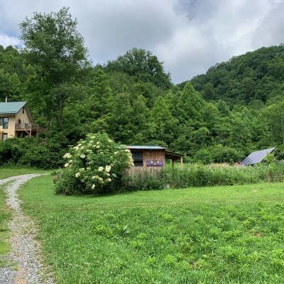 chicken coop & house