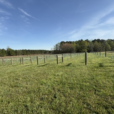 Ubuntu Farm