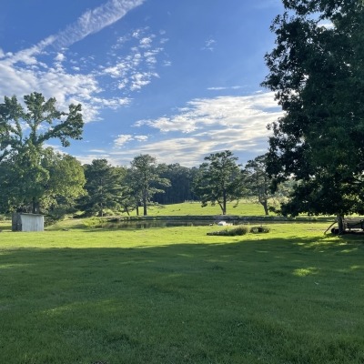 mid part of back pasture showing pond