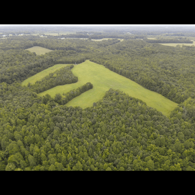Open land 