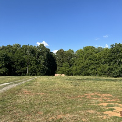 Open Field