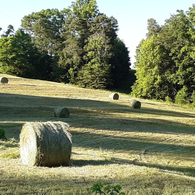 South facing pasture with round bales