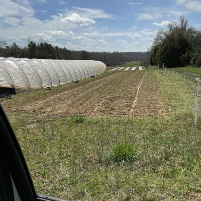 [previous farmer's] Caterpillar tunnels