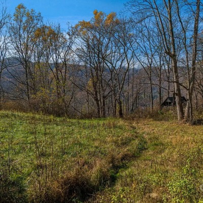 Middle Meadow