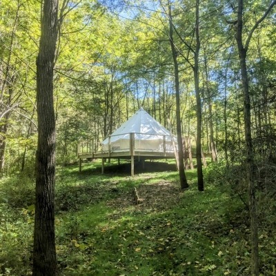 Glamping tent on raised platform in walnut grove