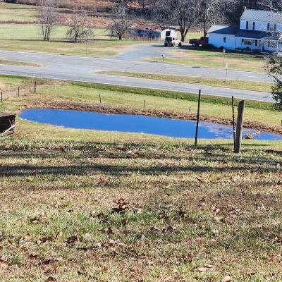 pasture and pond