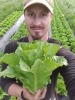 Lettuce