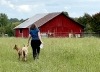Angela and two guernsey goat doelings