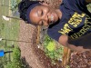 Raise bed horticulture farming 