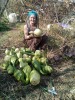 Our birdhouse and heirloom gourd harvest at my Druid Hills Forest Garden Oasis Nusery