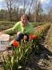 Marco Rozenbroek - Owner of Fields of Happiness a flower bulb farm in Swannanoa NC.