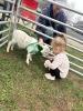 Two kids in the same round pen. 