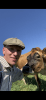 Me with a cow