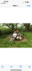 Picture of me with mom, my dog and cat 