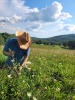 Performing ecological monitoring on a farm in Virginia